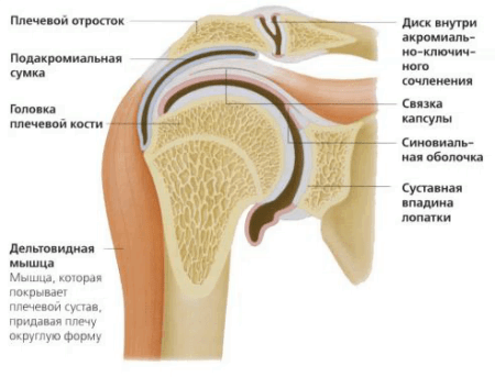 біль в плечі